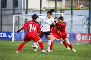 广西平果呗侬女足提前一轮夺得女甲冠军，成广西历史首支女超队伍